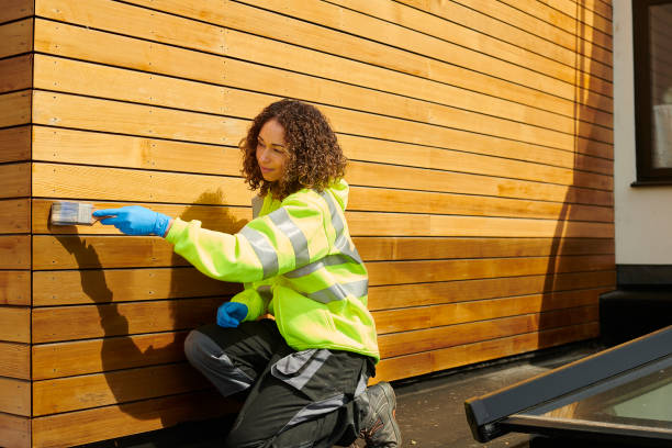 Best Custom Siding Design  in Forsyth, IL